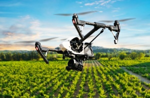 ТОП-10 революционных технологий в сельском хозяйстве